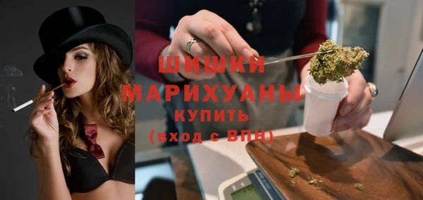 шишки Новокубанск