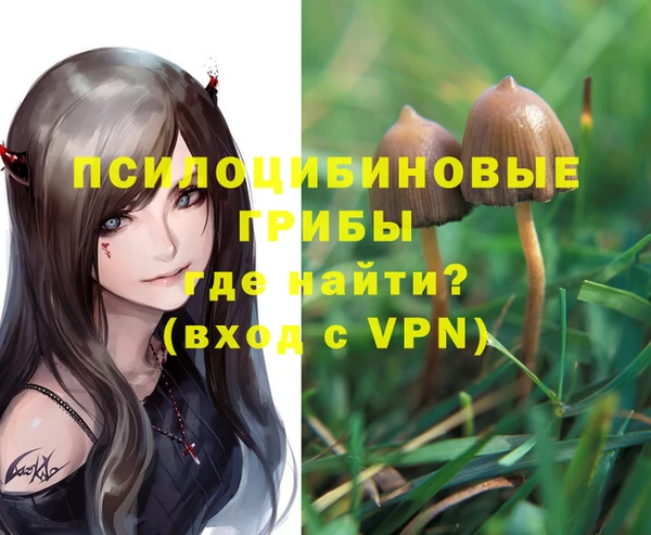 spice Алексин