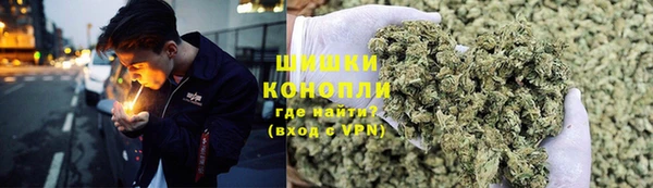 spice Алексин